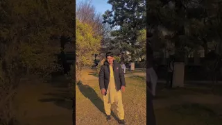                     دندنها