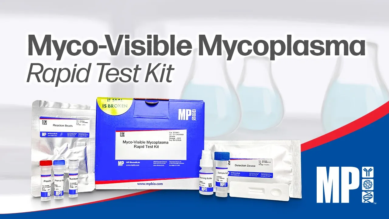 Simple, Fast, and Effective Detection of Mycoplasma with Myco-Visible Mycoplasma Rapid Test Kit