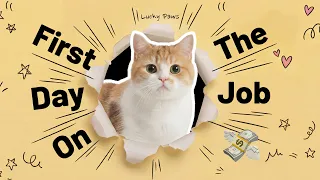 💸 Lucky Paws -『First Day On The Job』(Official MV)