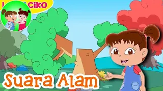 Mengenal Suara Alam | Kartun Anak Channel