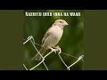Download Lagu Nasheed qolu inna ha waad