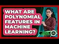 What Are Polynomial Features In Machine Learning