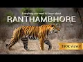 Download Lagu 7 redenen waarom RANTHAMBHORE het beste park in India is voor tijgersafari's