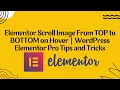 Elementor Scroll Image From TOP to BOTTOM on Hover WordPress Elementor Pro Tips and Tricks 2023