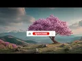A Quiet Hill in Spring Bloom 🌸 Gentle Guitar & Cello for Peaceful Morning, Relaxation, Mindfulness