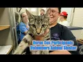 Verne Cox Participants at the Pasadena Animal Shelter