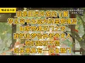 Download Lagu 我是田员外家的丫鬟。梦见穷书生成为府里赘婿后，田家惨遭灭门之灾。我把此梦告诉老爷夫人。他们起初不信，后来果真有一书生登门。#一口氣看完 #小说 #小説 #故事