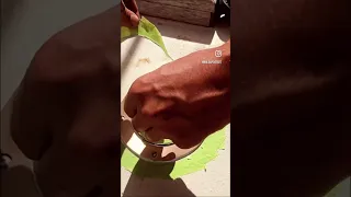 Let there be light!! Deck prisms!