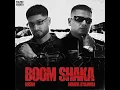 Boom Shaka