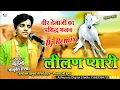Download Lagu लीलण प्यारी जाईजे जाईजे गढ़ खरनालियाँ शहर | Lilan Pyari | आजा तेजल आजा | Aakriti Mishra Dj Remix