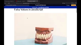 Basic Algorithm Scripting Falsy Bouncer