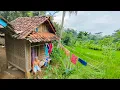 Download Lagu KAKE TANGGUH‼️MENIKMATI MASA TUA DIRUMAH TERPENCIL DIKAMPUNG PINGGIRAN SAWAH DAN HUTAN