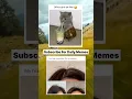 Download Lagu Girl's habits 😅 | #shorts