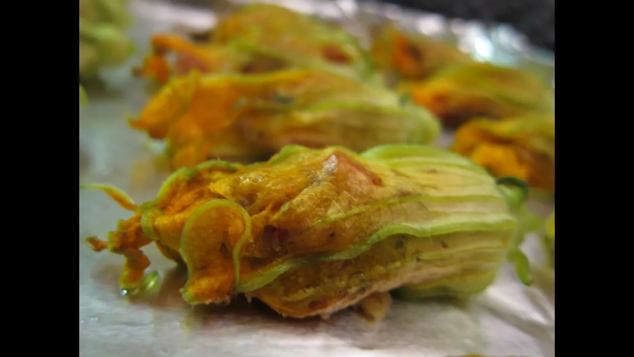 Stuffed zucchini blossoms (kolokythokorfades gemistoi) Greek and Vegan