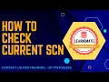 How to check current scn