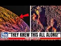 Download Lagu De nieuwste Pluto-beelden van James Webb zullen je sprakeloos maken