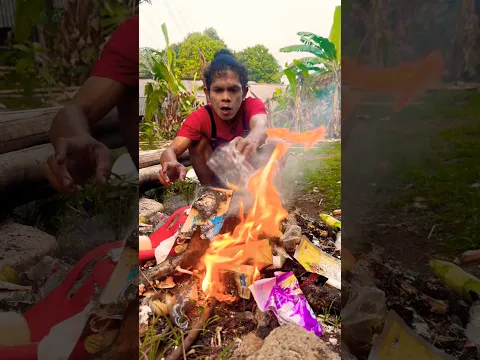 Bego Makan Dari Tempat Sampah
