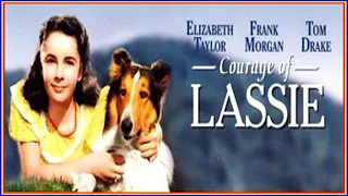 حضريا فيلم المغامــرات لاسي مغامرات نيكا 1968 مترجـــــم  حضريا فيلم المغامــرات لاسي مغامرات نيكا 1968 مترجـــــم
