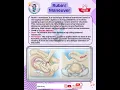 Lagu 👩‍🍼Rubin 1 Maneuver- External maneuver use in  managing shoulder dystocia during childbirth #labour
