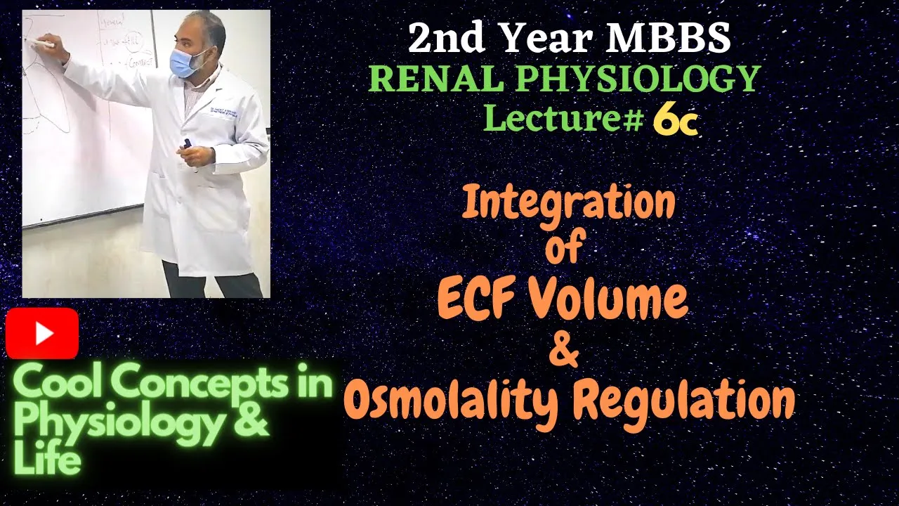 6c. Integration of ECF Volume & Osmolality Regulation (2ndYR MBBS Physiology: RENAL) Guyton