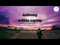 Download Lagu Kutimang adikku sayang cover by Nova novita