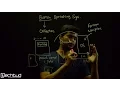 Important terminologies-1 Batch Operating System