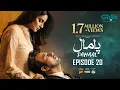 Pamaal Episode 20 (Subtitles) 9th Dec 25 | Digitally Jazz, Happilac, Jhalak Beauty Cream | Green TV