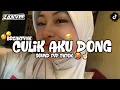 Download Lagu DJ CULIK AKU DONG BREAKFUNK MENGKANE FYP TIKTOK 2025!! 