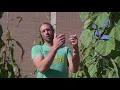 Four Sisters - YMCA Food Forest