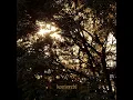 Slow Breath - Altus