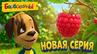 Барбоскины 🌳 Малиновое дерево 🍇 ПРЕМЬЕРА! Новая серия