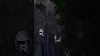 ويوم وداعنا فجرا وماقساه من فجر 