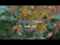 Download Lagu YAMKO RAMBE YAMKO  Indonesian Malay Karaoke