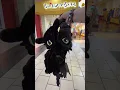 Toothless Build A Bear live action How to Train your Dragon