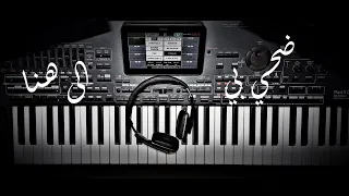 Dahi Bee Piano Cover ضحي بيه الى هنا بيانو موسيقى فقط 