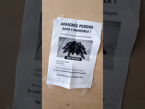Je vais déménager !