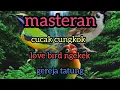 Lagu masteran(cucak cungkok,love bird, gereja tarung)