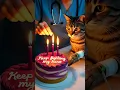 Download Lagu Cerita Sedih Seorang Dokter Menyalakan Lilin untuk Seekor Kucing Kecil yang sakit dan Berani 🎂💔