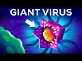 Download Lagu This Virus Shouldn't Exist (But it Does)