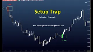 Setup Trap - Coloração e Automação - Profit