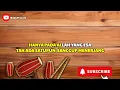 Download Lagu KARAOKE DANGDUT PERPISAHAN - CAMELIA MALIK VERSI BL MUSIK || MERESAHKAN