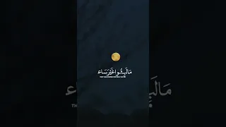 ويوم تقوم الساعة يقسم المجرمون ما لبثوا غير ساعة قرآن المنشاوي استوريات 