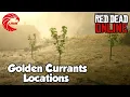 Golden currants Locations rdr2 Online - Red Dead Online Golden currants Location Guide