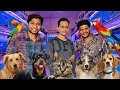 Download Lagu Bangalore's biggest exotic fish and pet market | Wow aquatics rare species of fishes and birds