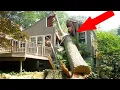 Download Lagu Dangerous Idiots Tree Felling Fails With Chainsaw - Biggest Removal Fails Tree Falling On Houses