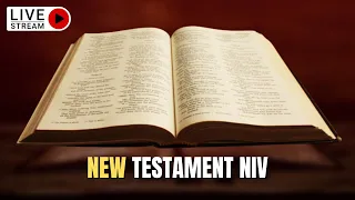 The Holy Bible Complete NEW TESTAMENT Bible NIV Dramatized