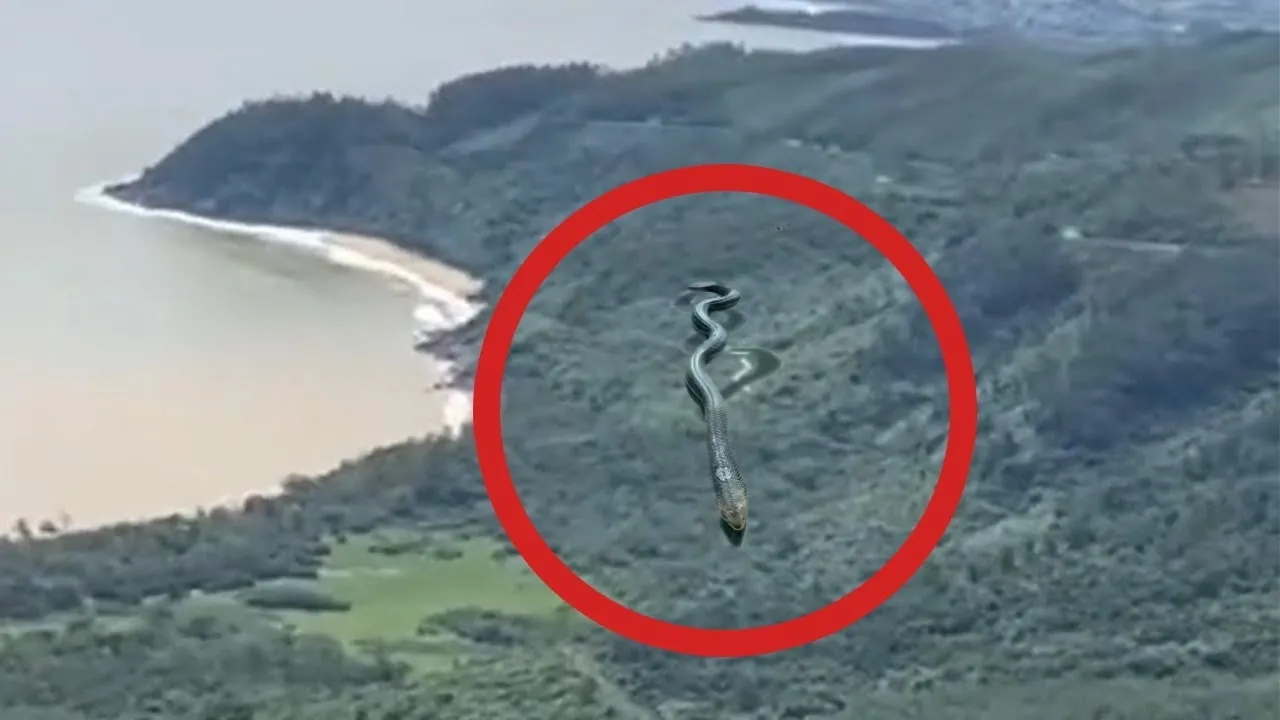 Drone Invade Floresta Proibida e Filma Algo Que Ninguém Deveria Ver!