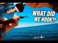 This Was NOT What We Expected to Hook Newport Beach Fishing Offshore