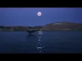 Download Lagu سورة البقرة - الشيخ منصور السالمي Surat Al-Baqara - Sheikh Mansour Al-Salmi