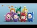Download Lagu ODDBODS MUSIM 2 - Versi Lagu Dangdut Secawan Madu (Reupload 2020)